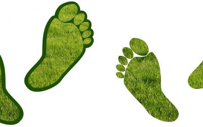 The Rewards & Recognition of a Carbon Neutral Small Business